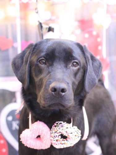 20250211文太くん